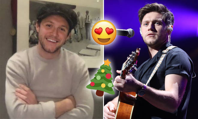 Niall Horan revealed his Christmas plans on the kids TV show, The Den.