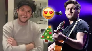 Niall Horan revealed his Christmas plans on the kids TV show, The Den.