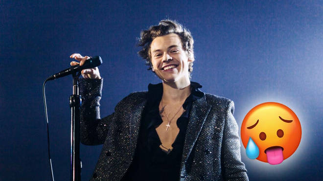 Another Harry Styles-inspired novel has gained a huge fanbase