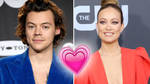 Harry Styles and Olivia Wilde are a surprise new celebrity couple