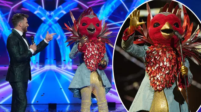 The identity of Robin on The Masked Singer remains a secret