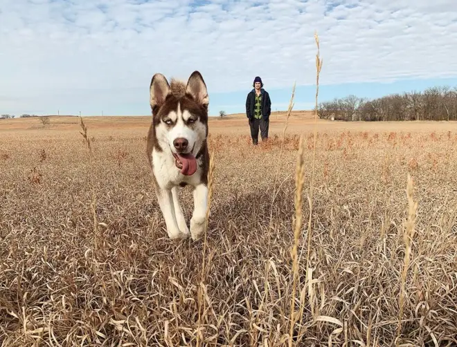 Charles Melton has a beloved puppy who he takes everywhere with him