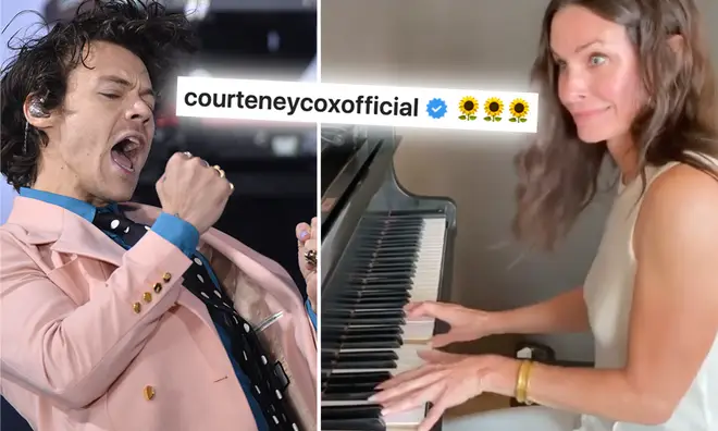 Harry Styles' fans really want to make sure he sees Courteney Cox's video.