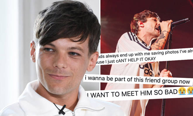 Louis Tomlinson is the ultimate bestie to his fans