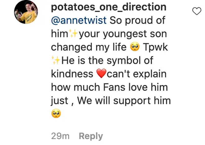 Harry Styles' fans sent their love to Anne on Instagram.