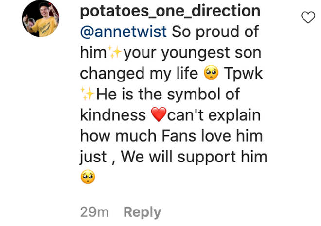 Harry Styles' fans sent their love to Anne on Instagram.