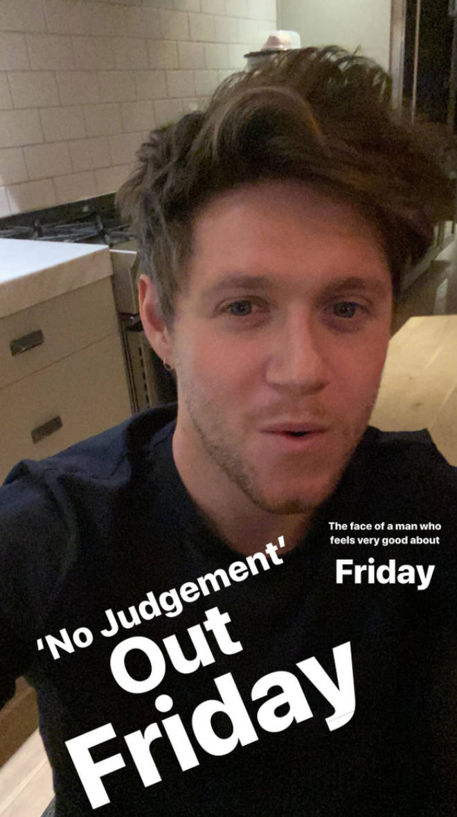 Niall Horan has shared his excitement for his new single, 'No Judgement'.