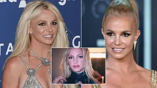 Framing Britney Spears has made headlines recently.