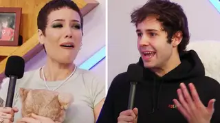 Halsey gets first baby gift from David Dobrik