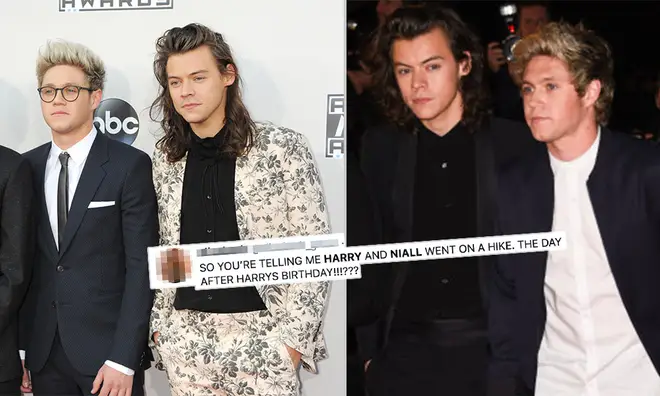 Harry Styles & Niall Horan's fans were sent into meltdown after a photo went viral.
