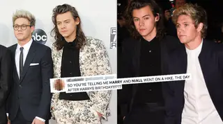 Harry Styles & Niall Horan's fans were sent into meltdown after a photo went viral.