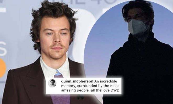 Harry Styles's 'Don't Worry Darling' stunt double revealed