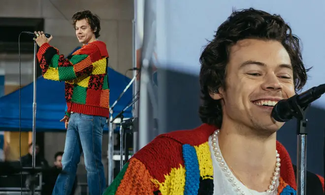 Harry Styles' knitted cardigan became a phenomenon of its own
