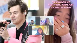Two fans got to sit down with Harry Styles over Zoom and Stylers are freaking out.