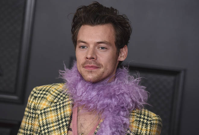 Harry Styles is set to star in Don't Worry, Darling.