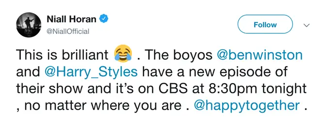 Niall Horan revealed that he thinks Harry Styles' TV show 'Happy Together' is brilliant