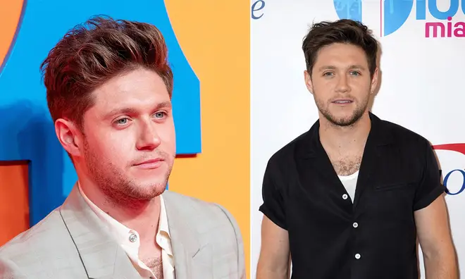 A trespasser allegedly entered Niall Horan's home last year, before attempting to return the next day.