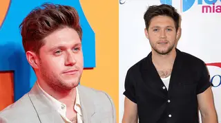 A trespasser allegedly entered Niall Horan's home last year, before attempting to return the next day.