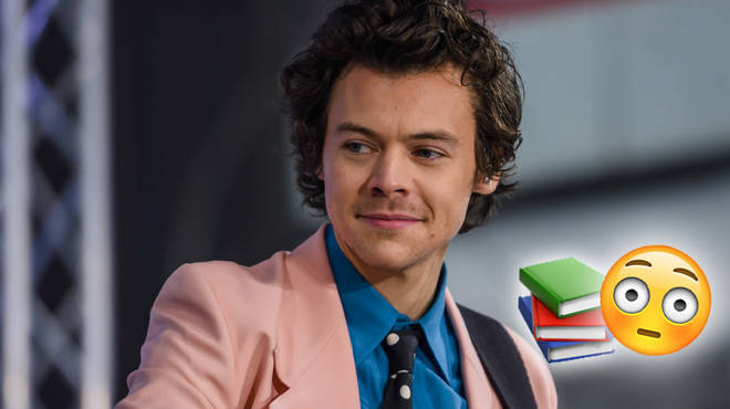 Harry Styles inspired the latest 1D fanfic novel fans are talking about