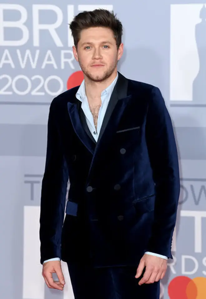 One Direction's Niall Horan has now reached global success following his stint on X Factor.
