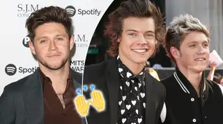Niall Horan's new Harry Styles post proves he's always supportive AF.