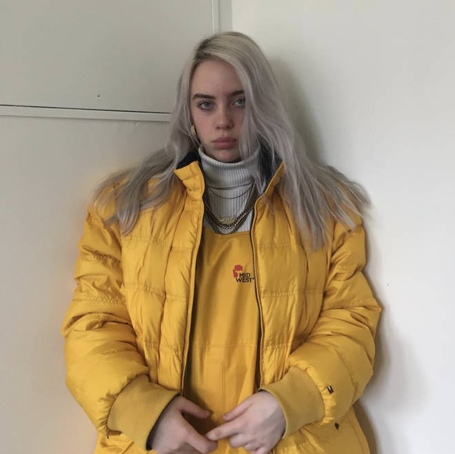 Os fãs adoraram a era do cabelo prateado de Billie Eilish