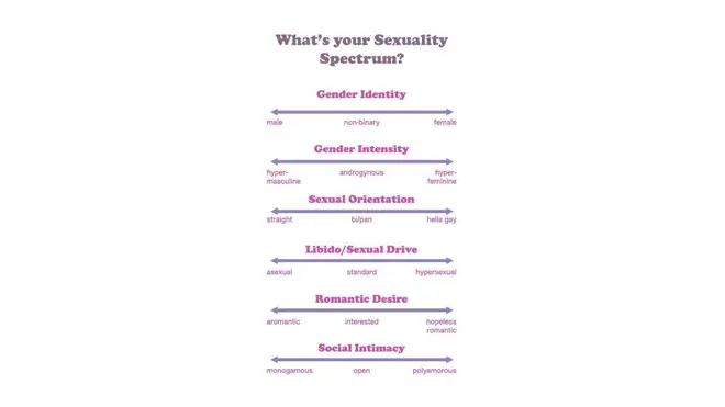 Sexuality Spectrum Test