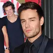 Harry Styles recently called Liam Payne for a catch-up
