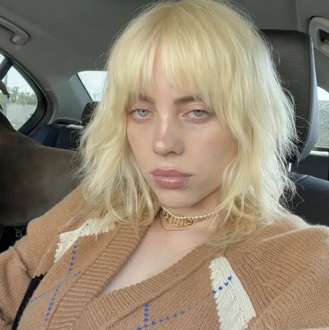 Billie Eilish is rumoured to be dating Matthew Tyler Vorce