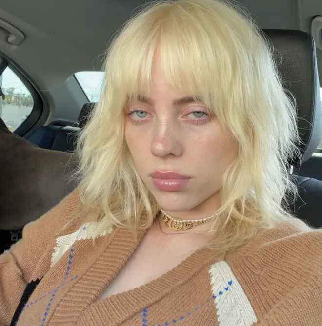 Billie Eilish captioned her follow-up selfie 'I'm tired' amid the backlash