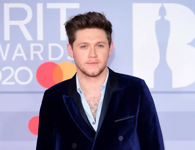 Will Niall Horan be featured on Taylor Swift's 'Red' re-release?