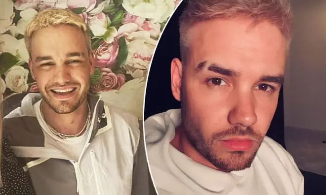 Liam Payne shared a selfie with his sisters for the first time in years