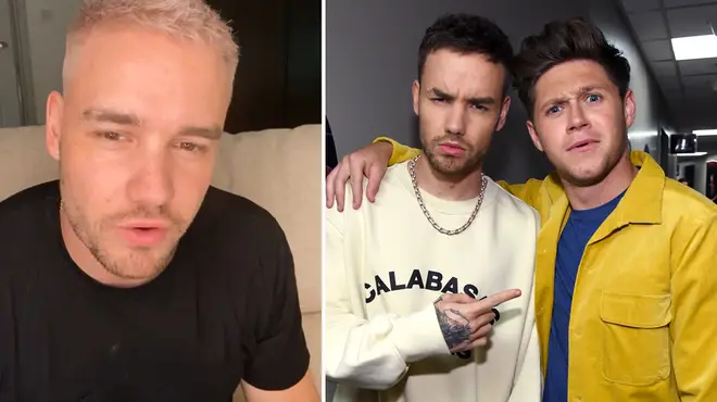 Liam Payne praised Niall Horan for getting vaccinated