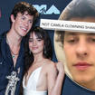 Camila Cabello trolling Shawn Mendes has gone viral