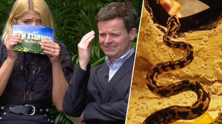 Emily Atack panics during bush tucker trial as Holly Willoughby admits she's 'never seen anything like this'