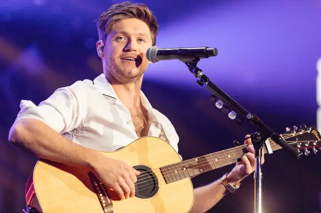 Fans were living for the Niall Horan and Lizzo video