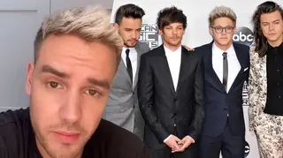 Liam Payne gave One Direction fans some much-needed updates