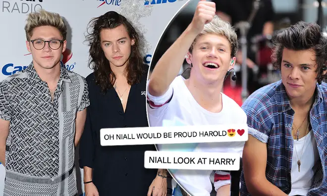 1D fans are hoping for a Harry Styles and Niall Horan reunion
