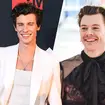 Shawn Mendes was asked about Harry Styles in a lie-detector challenge