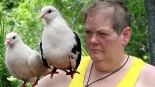 Viewers confused as 'I'm A Celeb' bush tucker trial features pigeons as 'scary' critters