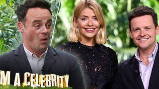 ITV presenter claims Ant McPartlin scripts Holly Willoughby and Dec's jokes on I'm A Celebrity