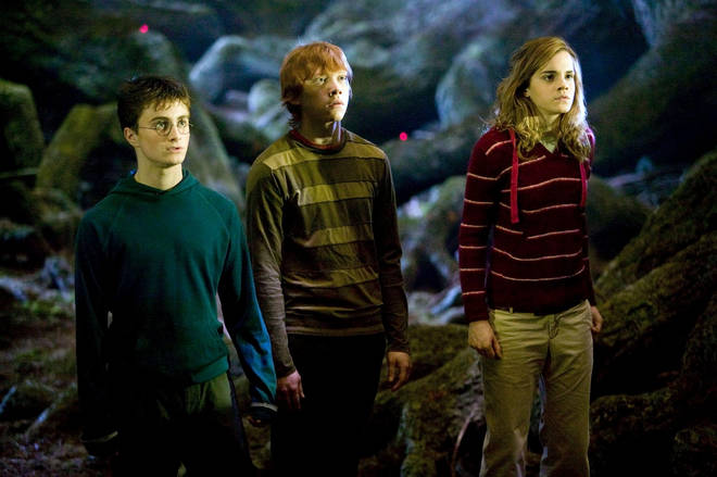 A Harry Potter reunion is pegged to air before the end of the year