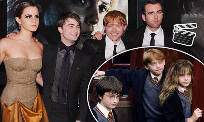 Will there be a Harry Potter reunion special?