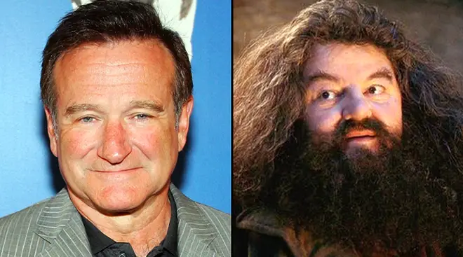 The story of why Robin Williams was rejected from playing Hagrid and Lupin in Harry Potter