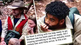 Fans think I'm A Celeb might be fixed.