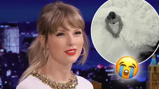 Taylor Swift sang 'Champagne Problems' during a dress fitting
