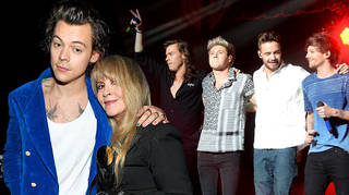 Stevie Nicks is hopeful for a One Direction reunion