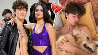 Shawn Mendes is missing his shared dog with Camilla Cabello following their split