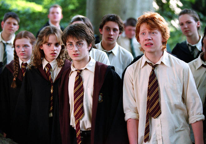 The Harry Potter cast will be returning to mark 20 years