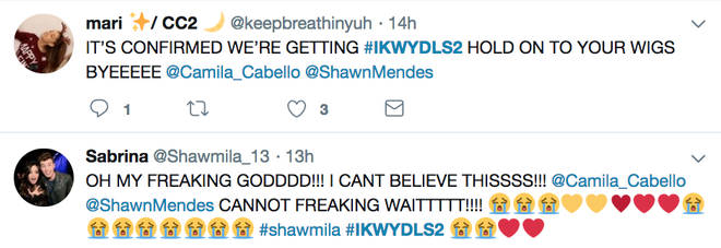 Fans can't contain their excitement for Shawn Mendes and Camila Cabello's musical sequel